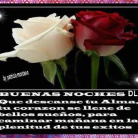 muy buenas noches a tod@s 